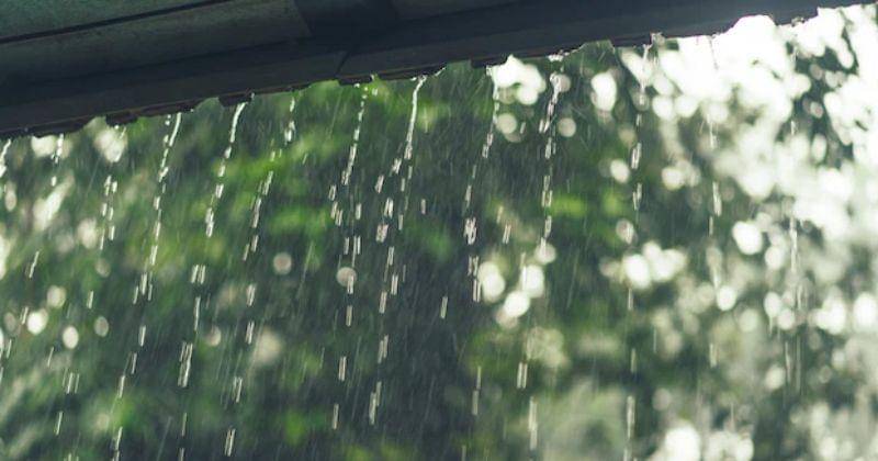 Freepik/Kireyonok_Yuliya